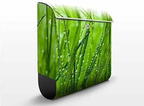 Buzones Originales Decorados con Naturaleza foto de la Hierba Mojada