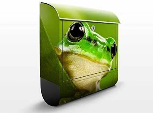 buzon original de exterior decorado con animales una ranita feliz en amazon